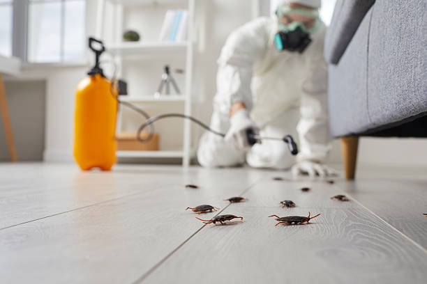 Trusted Cockroach Control service in Lincoln Village, CA - Nex Pest Control