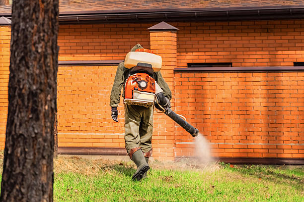 Trusted Mosquito Control service in Lincoln Village, CA - Nex Pest Control